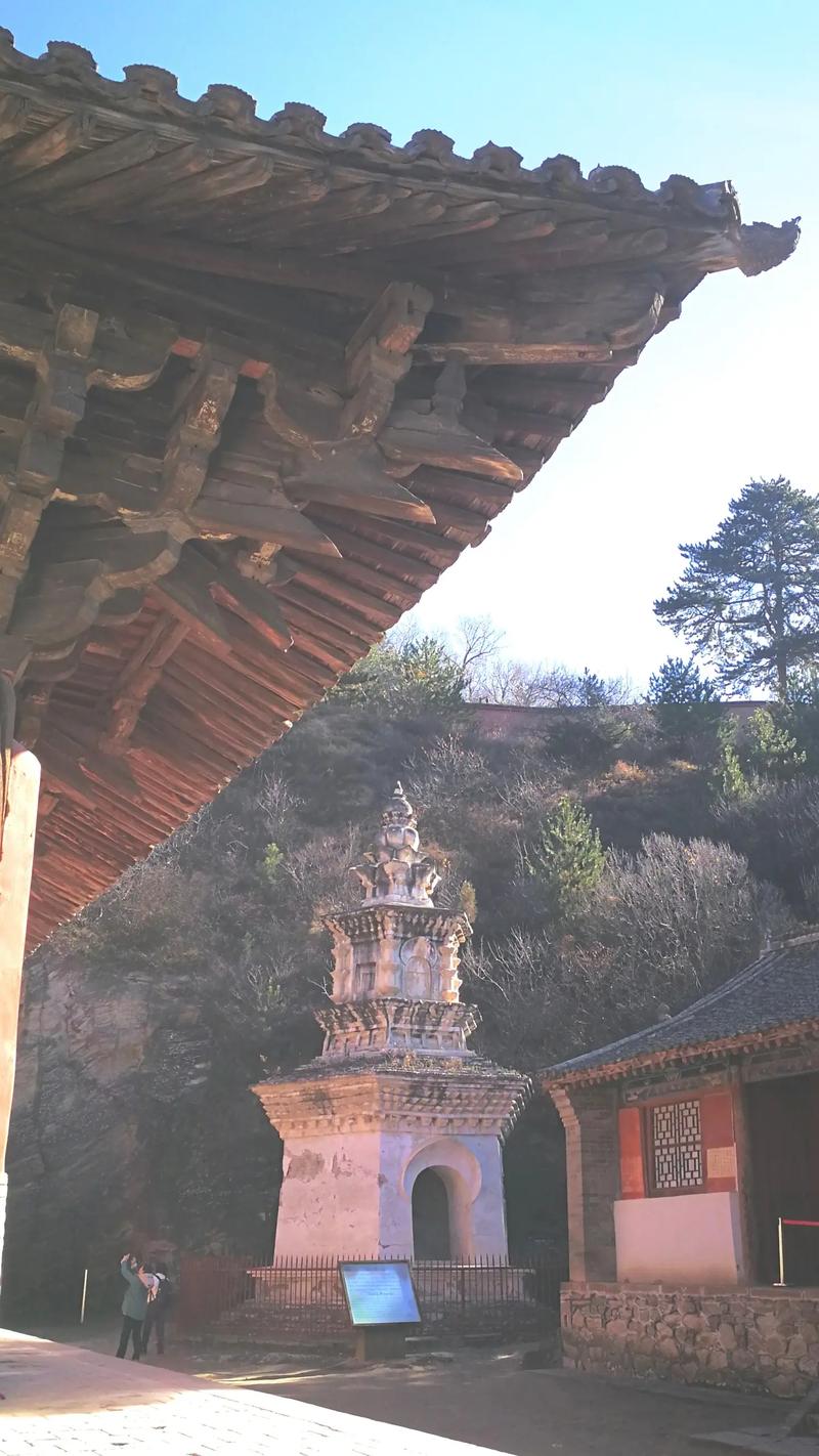 ����ˮѡ����