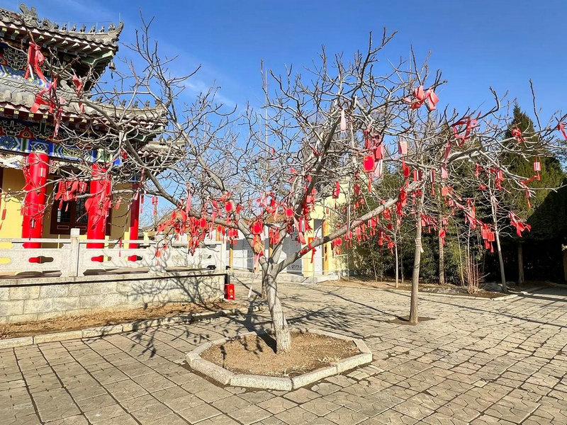 ������ΪʲôҪ��������