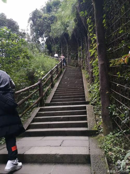 ����˫����2016������