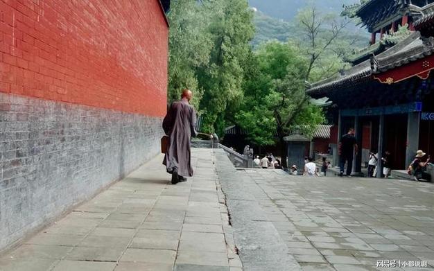 张敏年龄和个人资料 张敏年龄和个人资料