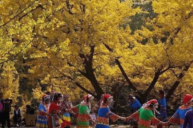 �μ�������ӵ��