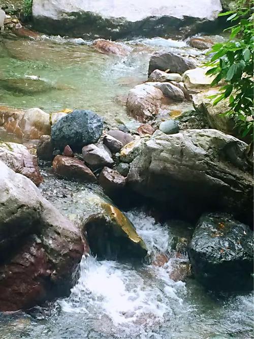 ����Ů������2024��5��22�ճ�����