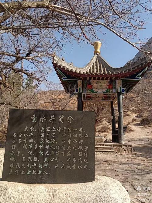 ����̬������������