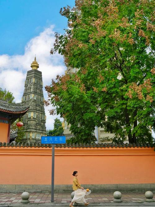 �����ַ��� �����ַ���������