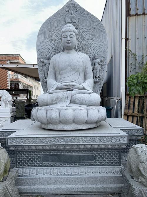 �����ճ������� ����������һ��