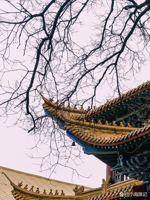 ��ˮ�ϵ�����