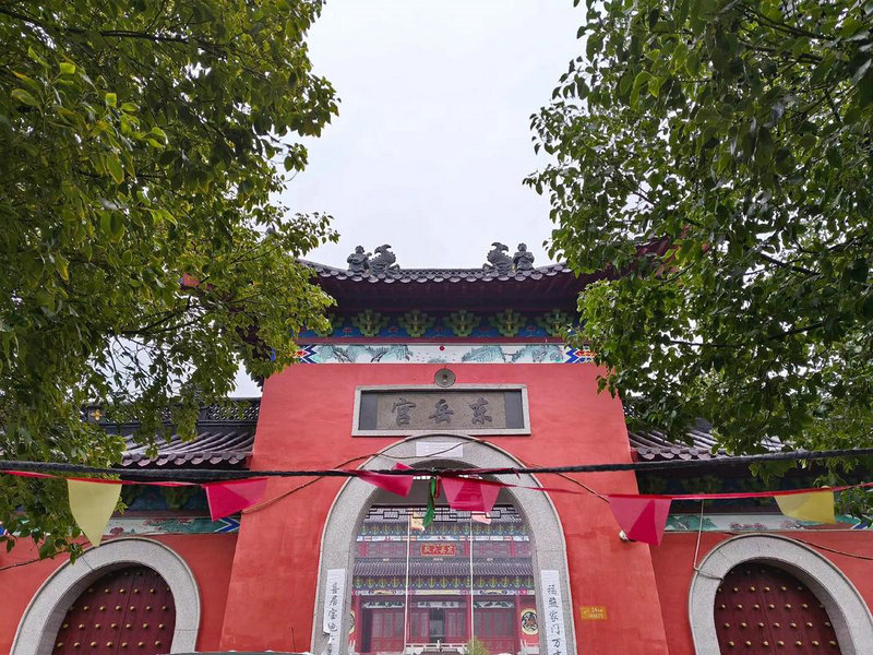 12��Ф2025�꿪�˷���