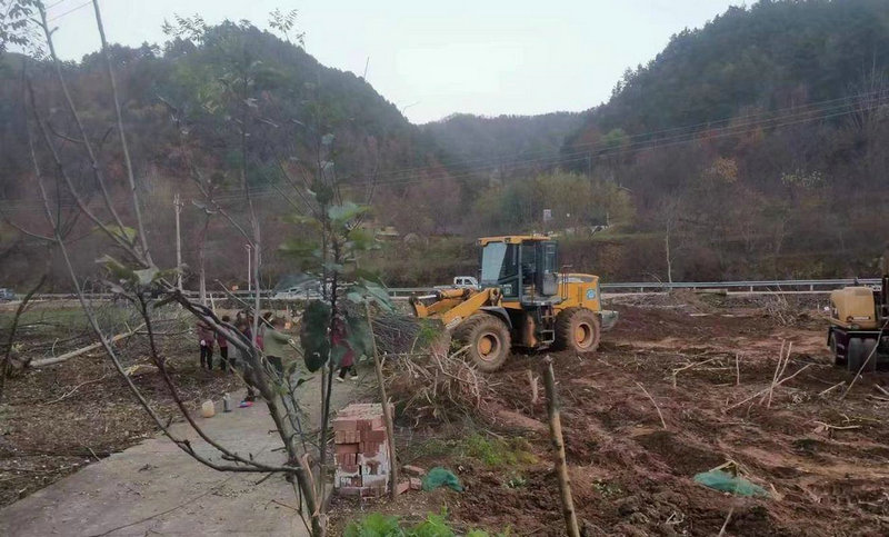 ������ʲô���౾����