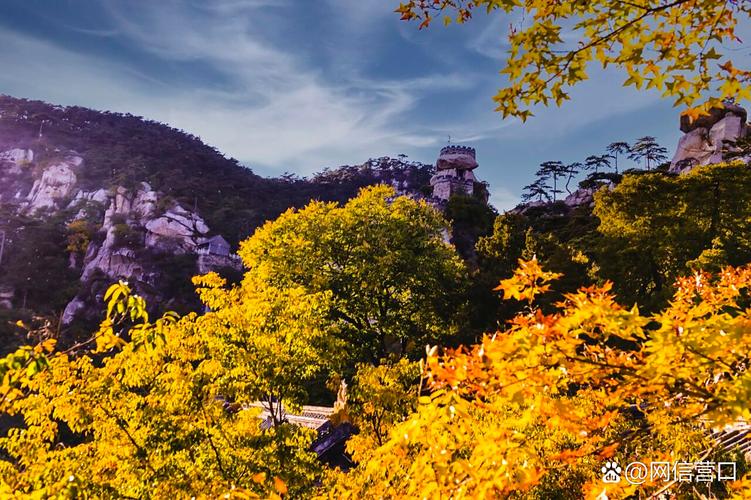 ��Ф��5�յ����� ��Ф������������ʲô��˼��