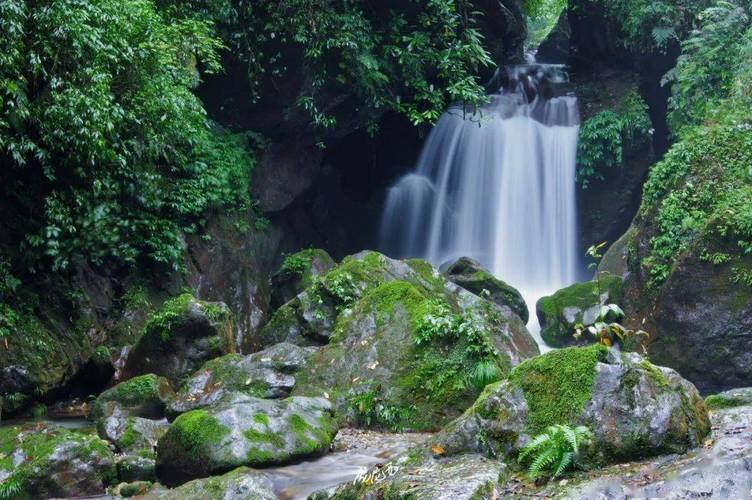 ��������Ӱ���ˮ��