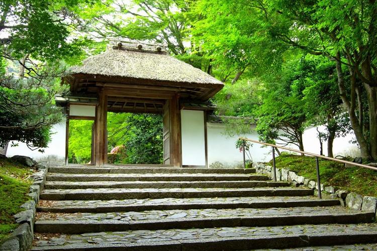 Ħ����Ů���Դ�׷����