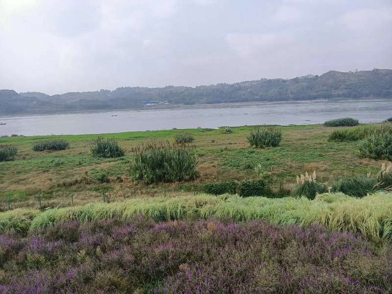 ��î��������ż����