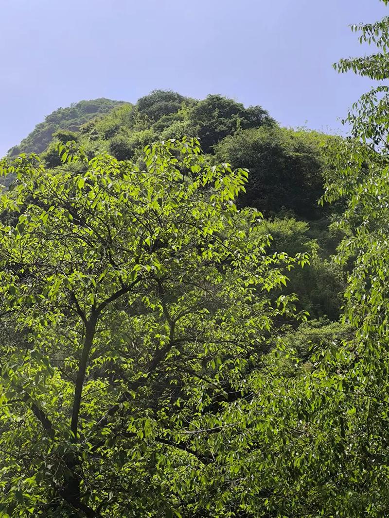 ��������� ������