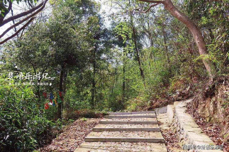 ����ʮ���ε�Ӱ��� ����ʮ���ε�Ӱ���������