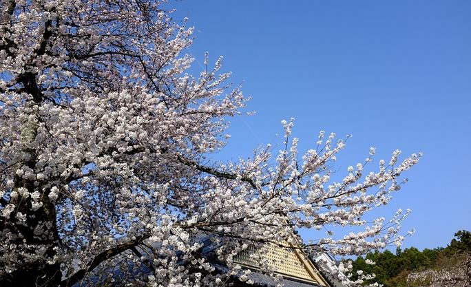 ɽ�߱�����ˮ�Ĳ���Ҫע��ʲô�ط�