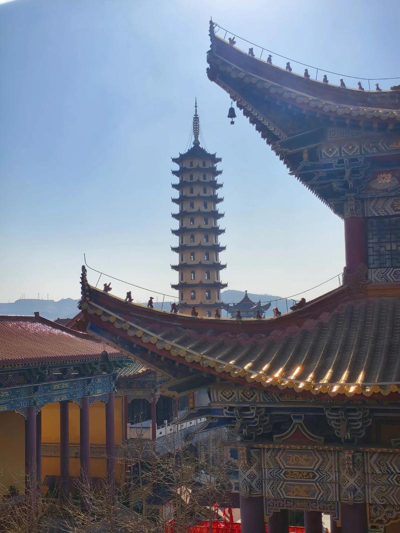 �з�����Ů���չ�����ȡ��ʲô����