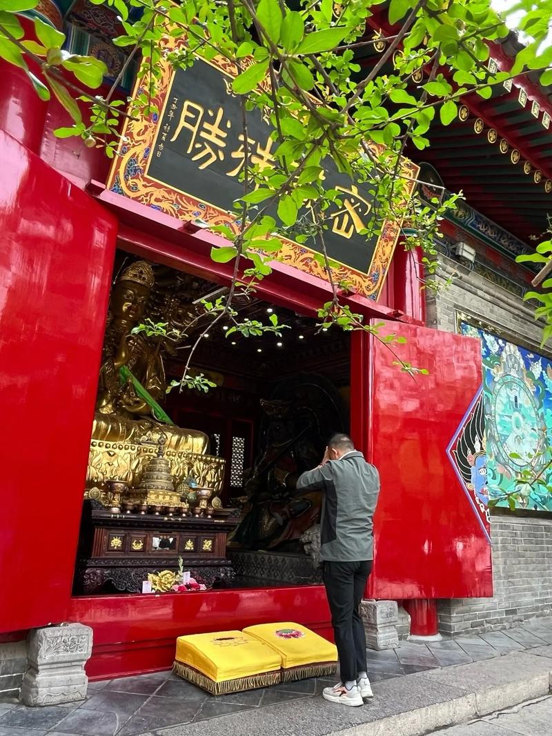 电影票房实时榜 电影票房实时榜实时数据 电影票房实时榜 电影票房实时榜实时数据