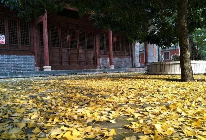 ������������ֱ�Ͼ����ܽ���ʮ���������ֿ����ѻ��ɷ򱻶��ؾ�