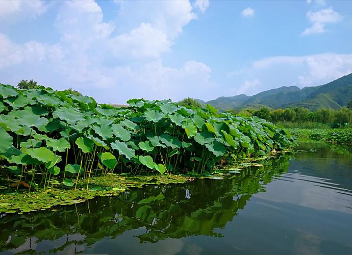 11��14����ʲô���� 11��14����������