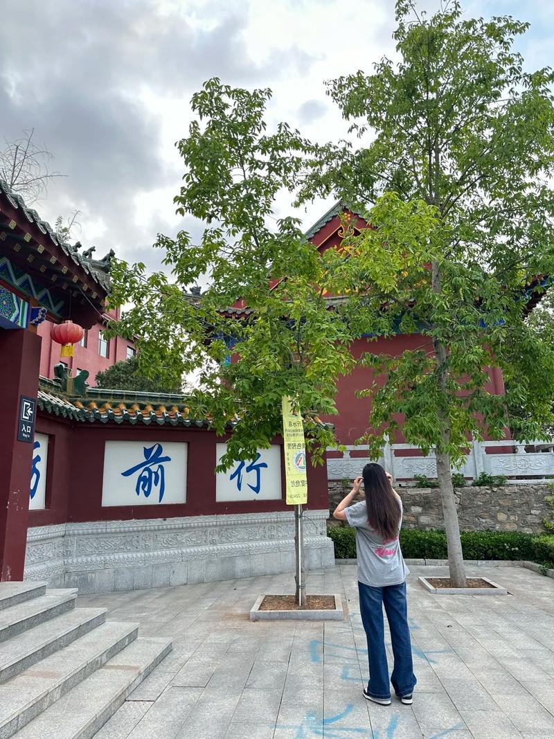 2023������ѵ����� 2023���ϰ���������õ�����