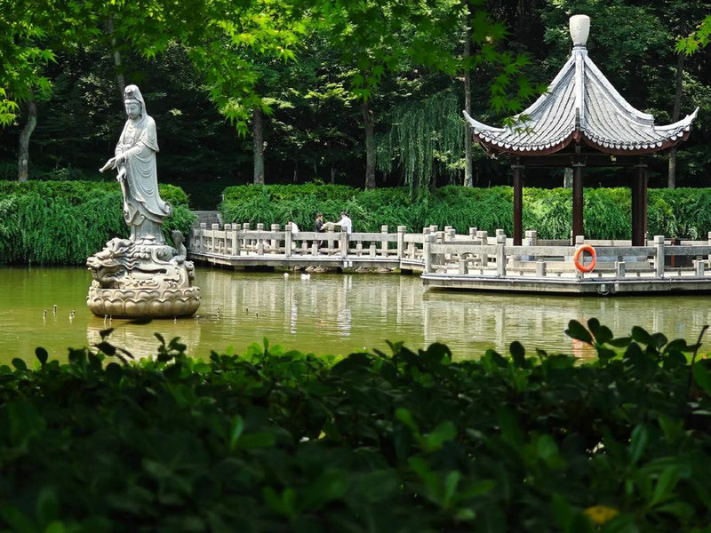 �Ʋ���������������