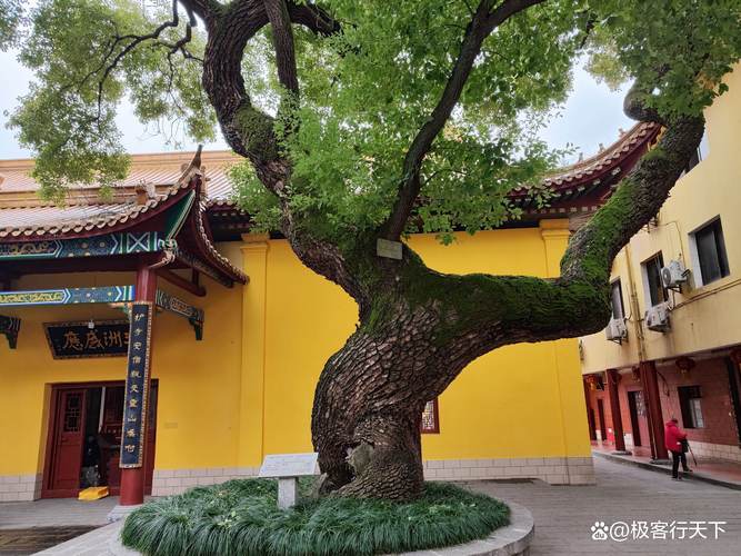 ����֣ĸ��ʯ��������