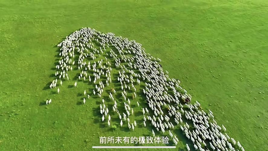 Ҷ���ĸ�������˭֪��Ҷ���ĵ���ϸ���ϰ�