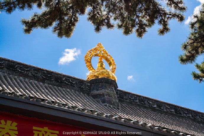 �Ƽ���˾���ƴ�ȫ�򵥴��������֣���ѡ600����