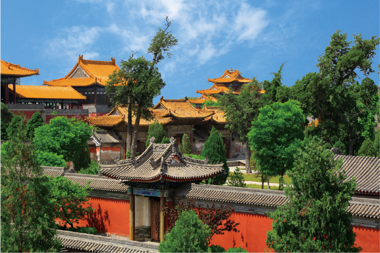 ����������Ϊʲô�ղ�һ��