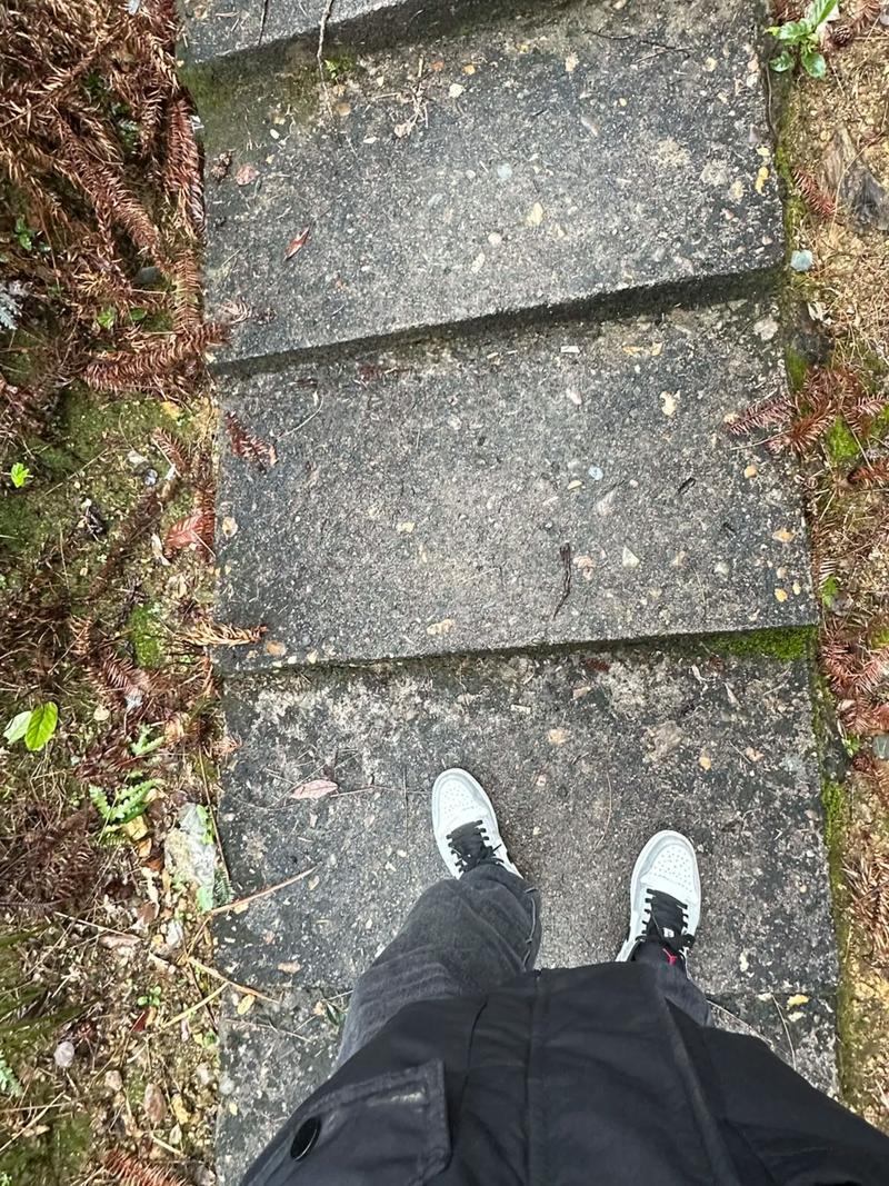 �ܹ����δ�ȫ��ѯ[�ܹ����δ�ȫ��ѯ��Ѱ�ԭ��]