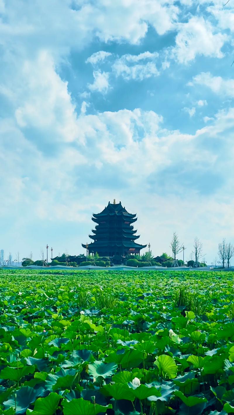 ��С�������ʵ���߶���