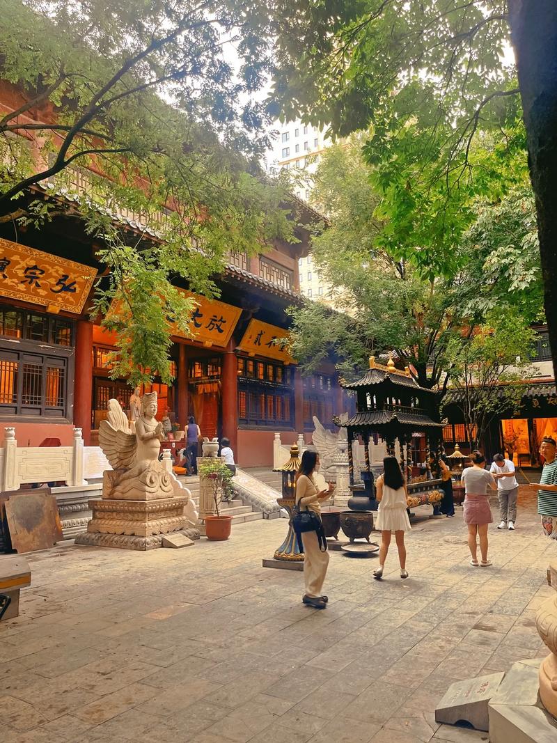 夏日香气插曲 夏日香气插曲叫什么 夏日香气插曲 夏日香气插曲叫什么