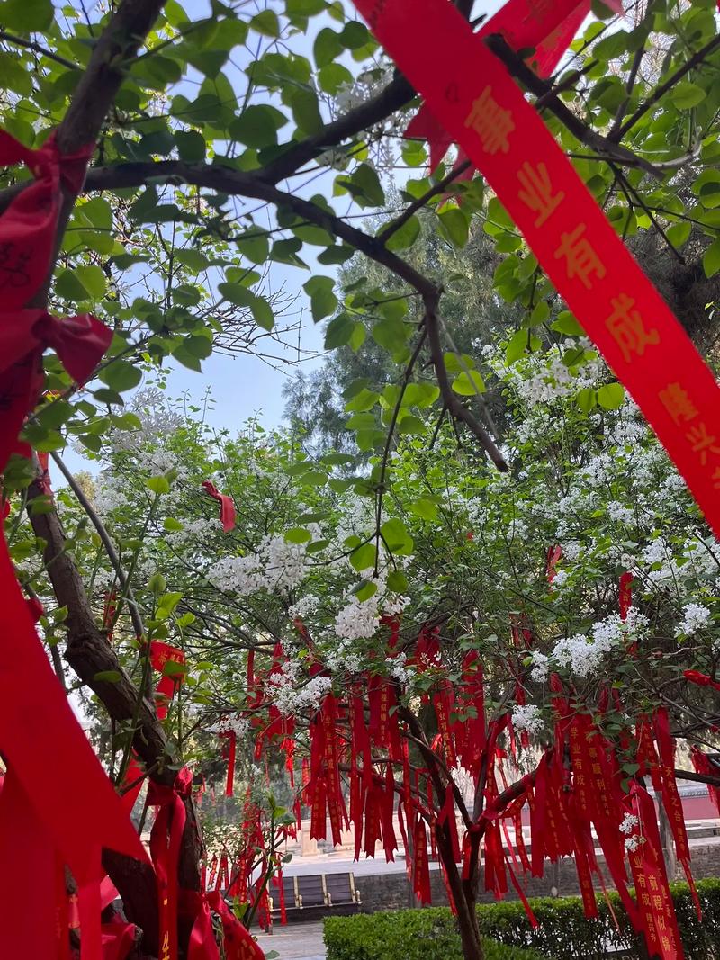 九思科技取名字之后找不到 九思科技取名字之后找不到