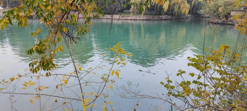 ��������С����