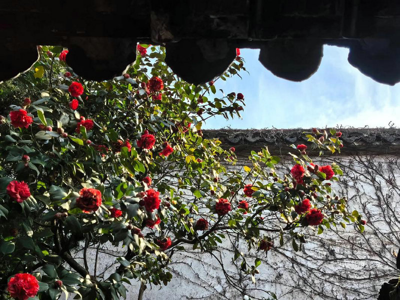 ͥԺ��ˮ����֪ʶ����(ͥԺ��ˮ����֪ʶ)