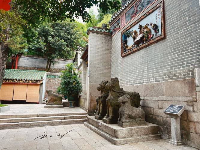 属龙寅时出生的人命运 属龙寅时出生的人命运