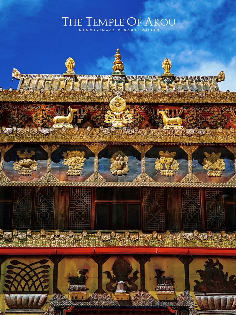 �ű̳�������160cm��