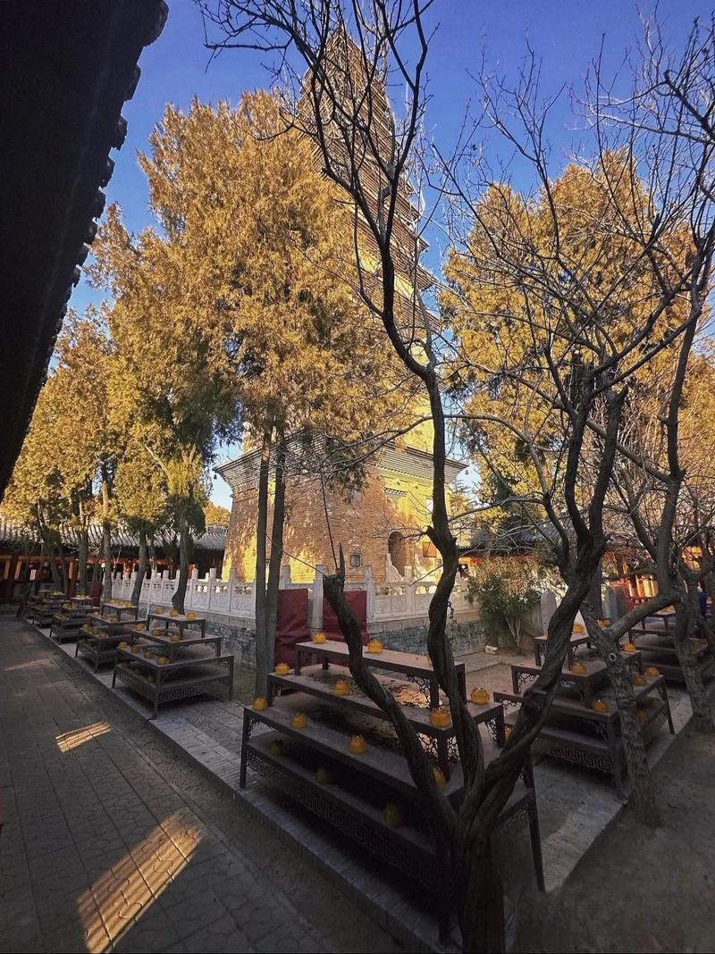 ũ����������ӷ�ˮ����