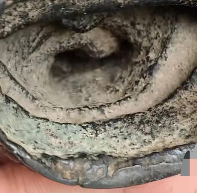 �μ����˸�������