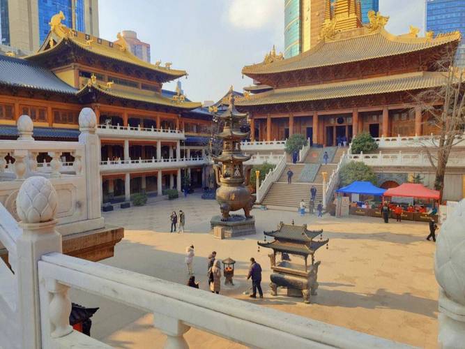 ��΢�����ȹ����