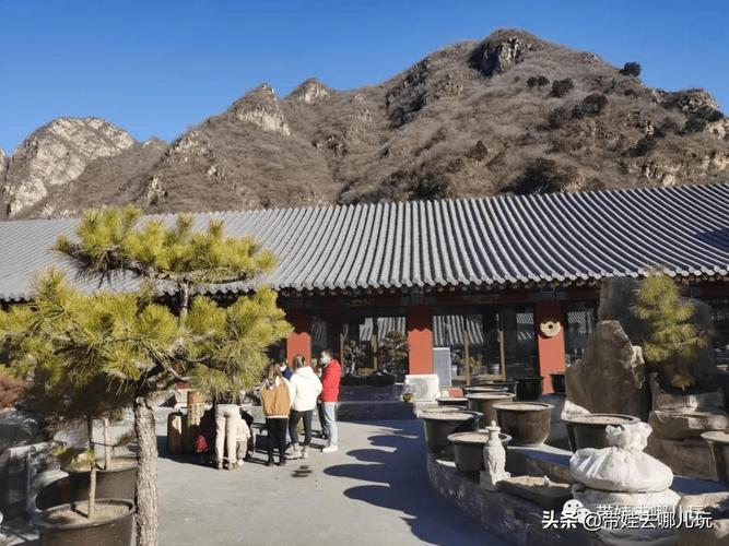 �з��鷿���ý���