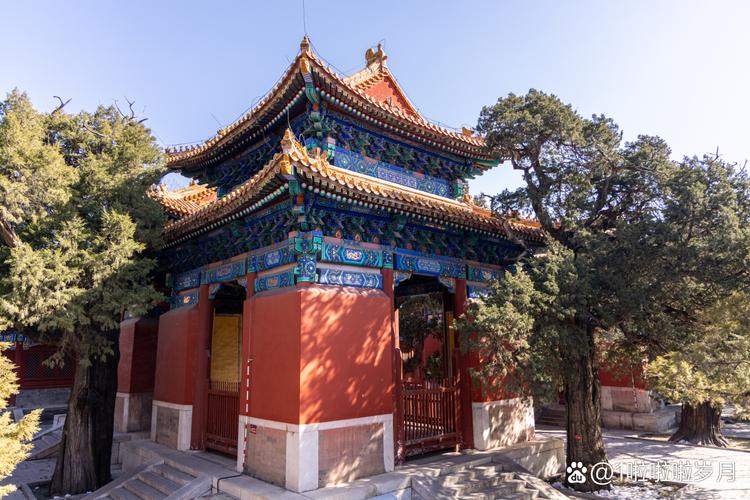 ����ȱʲô������ô��