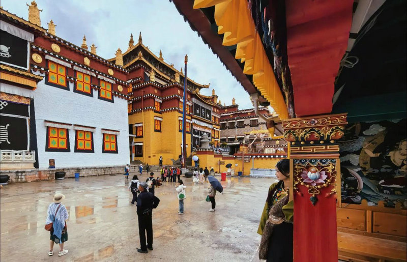 2025年综合运势好的生肖 2025年综合运势好的生肖