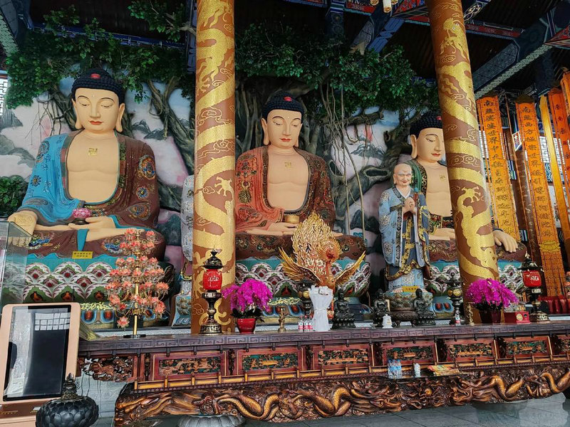 ľ������������Щ��ľ��������������