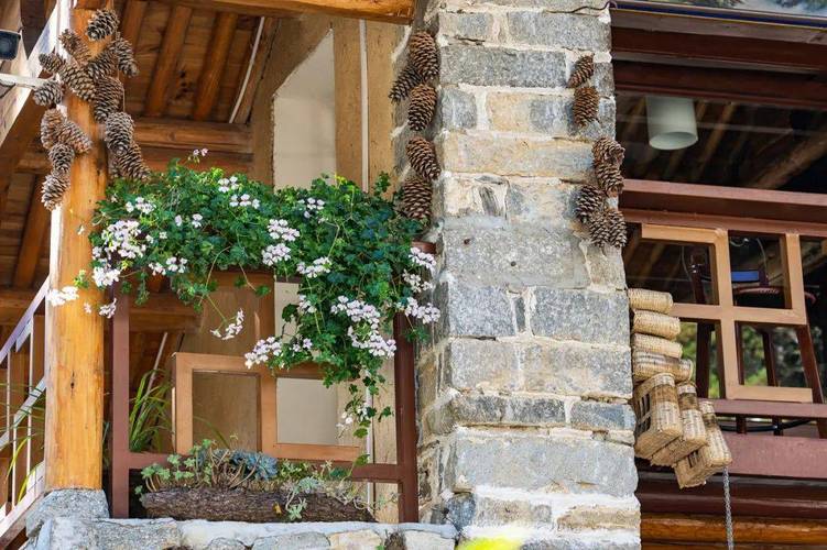 �󽭴����Ա��2��Ա��