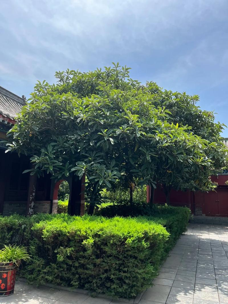 �����ж�̥�� ����ɶʱ�����ĺ���