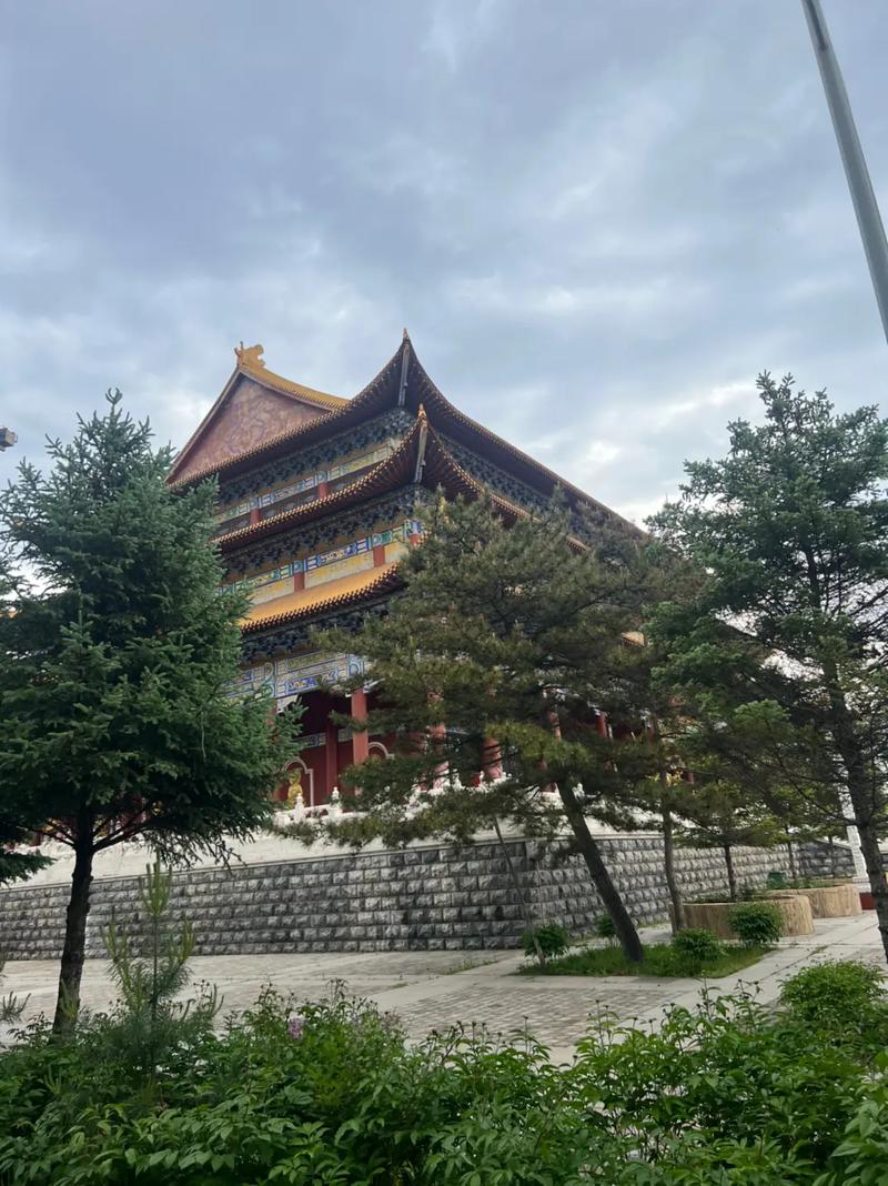 95��Ů����top1