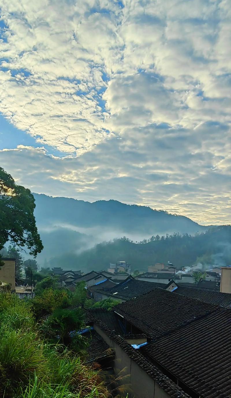 起名字能用心选吗