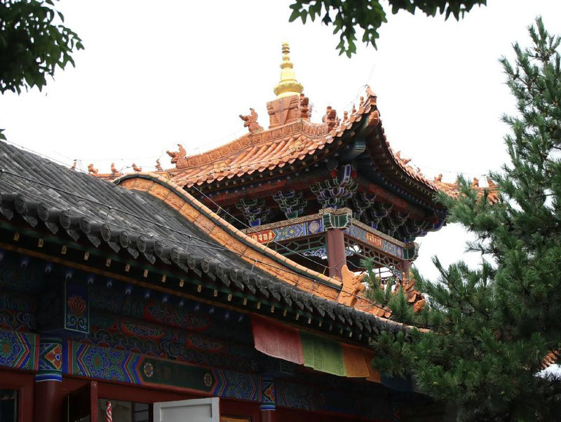 ��������ʮ����������