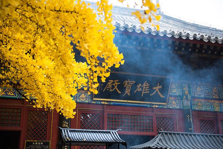 余罪第三季电视剧免费 余罪第三季电视剧免费